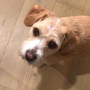 Meet your Posher, Ralph